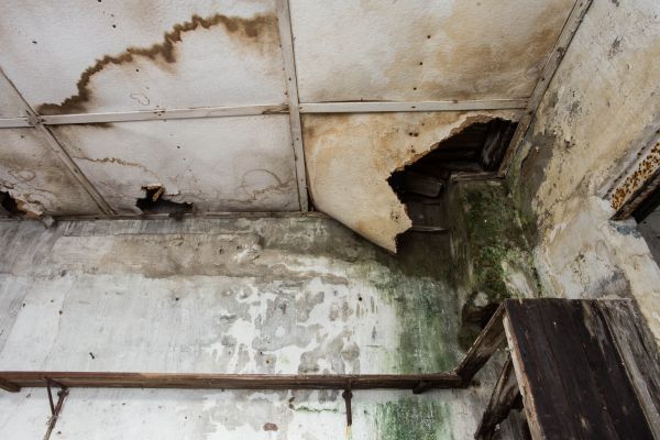 Cost of Water Damage Service in Canton