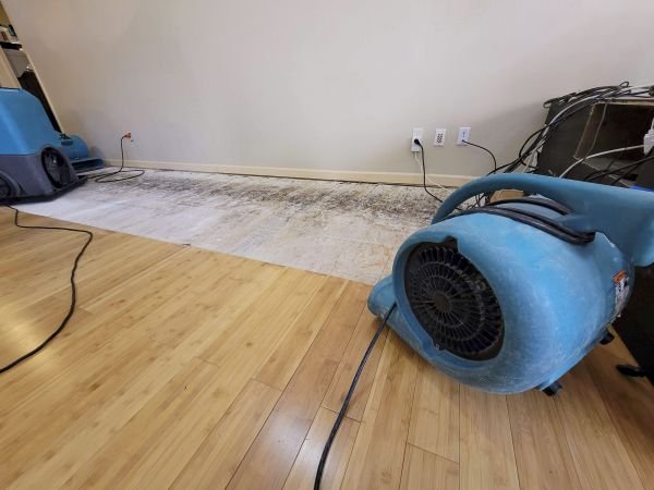 Cost of Water Damage Mitigation in Canton