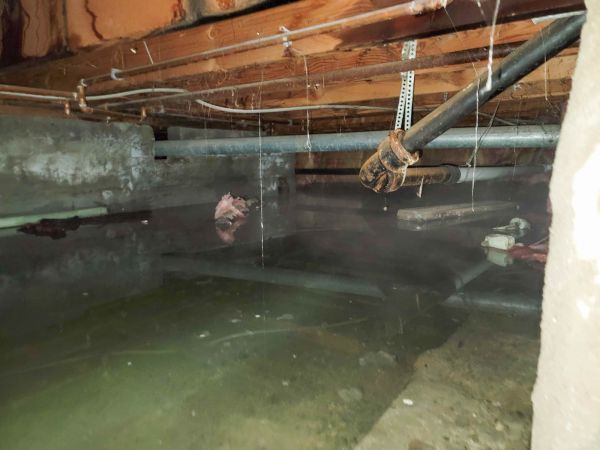 Cost of Water Mitigation Service in Canton